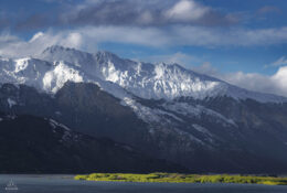 New Zealand 2025 (1 group) (54/66)